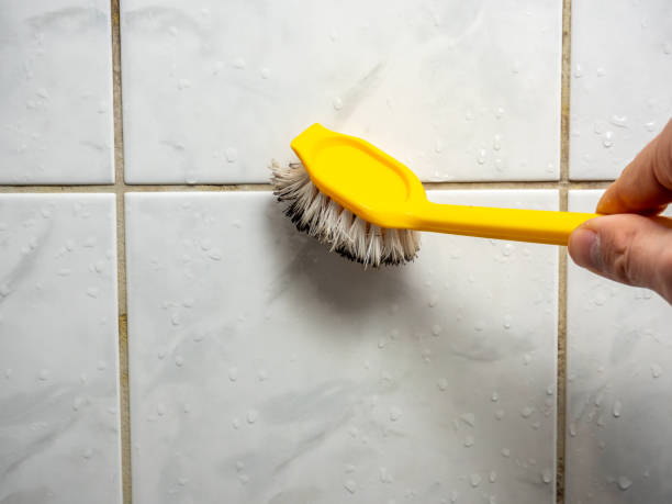 Best Office Mold Removal Services  in Meade, KS