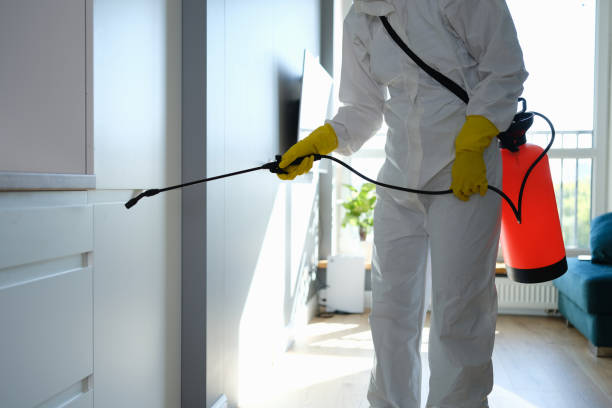 Best Attic Mold Removal  in Meade, KS