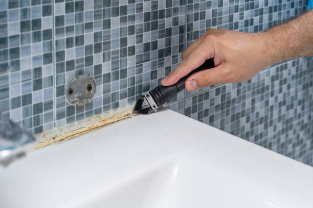 Mold Testing and Removal in Meade, KS