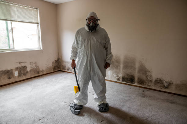 Best Toxic Mold Removal  in Meade, KS